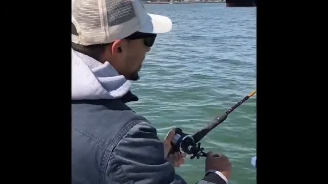 Huge Fish Sf Bay Fishing. White Sea Bass? смотреть онлайн
