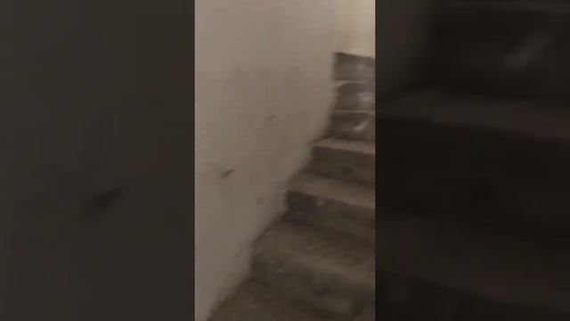 Что такое получистовая Отделка в коттедже? смотреть онлайн