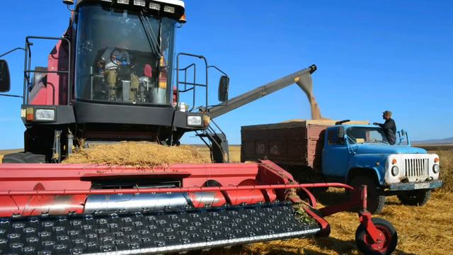 Спк плем зовод вторая петилетка Большая джалга смотреть онлайн