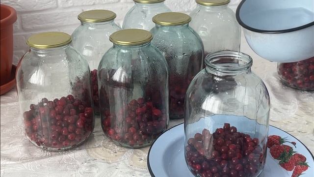 Компот. Шиеден компот. Мамин рецепт. Русский вкусный компот. Пайдалы сусын смотреть онлайн