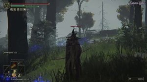 Башня Тэсту / Elden Ring / Как попасть в башню Тэсту