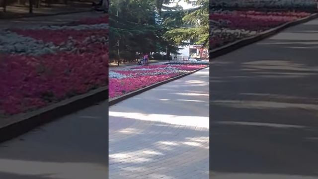 Прогулка на гироскутере. Алушта прогулка в парке с детской коляской смотреть онлайн