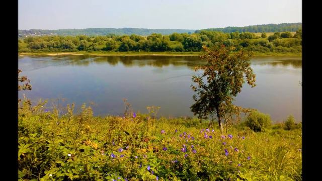 Таруса июль 2019 смотреть онлайн