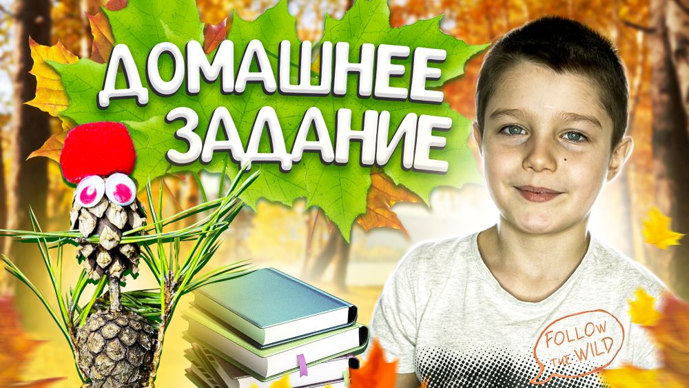 VLOG: Домашнее Задание - Надо Делать?! ? Что Произошло В Лесу? смотреть онлайн