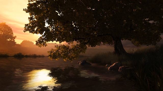 zero-project - Autumn leaves - Part 1 - Live 3D wallpaper смотреть онлайн