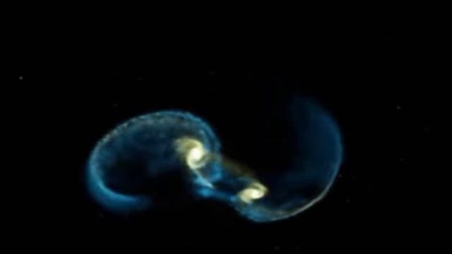 Hubble Source - Galaxy Collision смотреть онлайн
