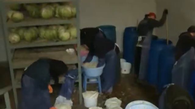 В Ярославле в Толгском женском монастыре завершился сезон заготовок смотреть онлайн