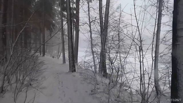 Снегопад на Лесном в полдень 20/11/2021 (под музыку Jean Francois Dandrieu (1682-1738) - L'Affligee смотреть онлайн