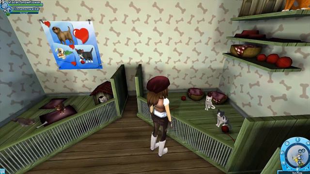 Getting A Horse And Two Pets (+ Halloween Moments) [Star Stable]