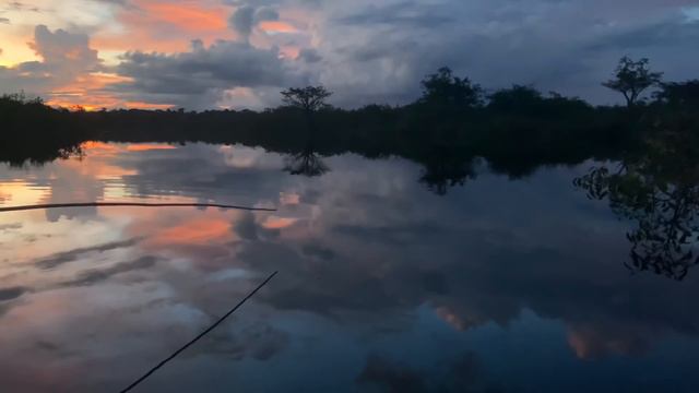 COMEÇO DE NOITE NA COMUNIDADE COM AS RIBEIRINHAS/FLORESTA AMAZÔNICA. смотреть онлайн