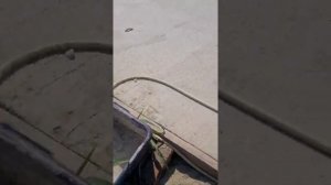 Обслуживание Евробион 8