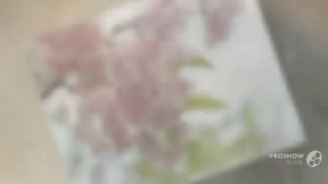 Hedera - Garden Plants