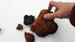 Чага как использовать