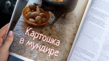 Николай Утешев