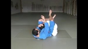 Требования на синий пояс БЖЖ. Удушающие приемы.