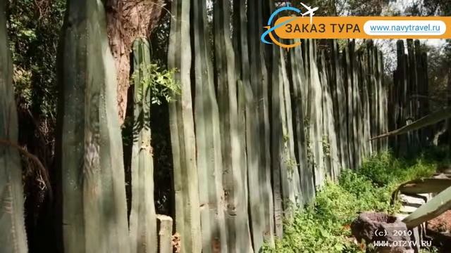 JW MARRIOTT CANCUN RESORT & SPA 5* Канкун – ЖВ МАРРИОТТ КАНКУН РЕЗОРТ ЭНД СПА 5* Канкун отзывы виде смотреть онлайн