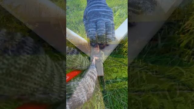 Перголу для плетистых роз мы делаем сами? смотреть онлайн
