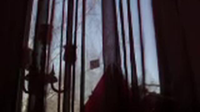 Стильный букет на фоне весеннего неба 0010 смотреть онлайн