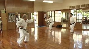 Shorin-ryu Seibukan. History of karate. Part 2. 2/3