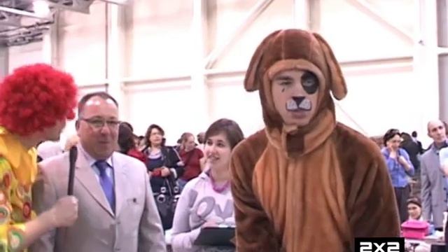 Флейтик и Песя. Как на самом деле измерить температуру у собаки?