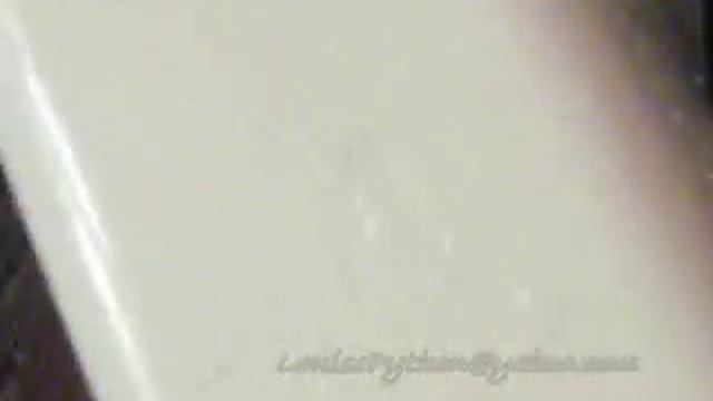 Louise Python needs help to find and eat a dead guinea pig смотреть онлайн