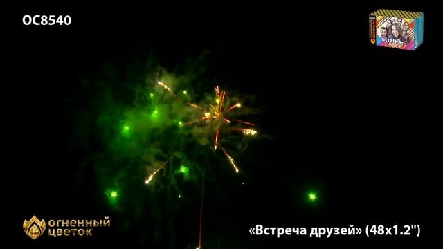 Встреча друзей ОС8540 салют ТМ Огненный Цветок смотреть онлайн