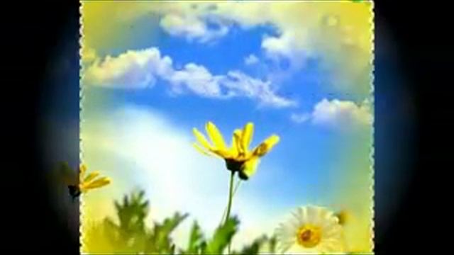 Я люблю своих друзей! Простоту,  доброту, искренность и честность ценю в них.