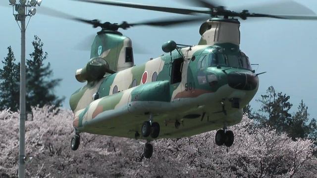 満開の桜とチヌーク CH-47J Chinook | Engine start, Takeoff & Strong wind | Kumagaya Air Base 2014 熊谷基地 смотреть онлайн