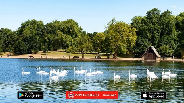 Гайд Парк – Введение – Лондон – Аудиогид – MyWoWo Travel App смотреть онлайн