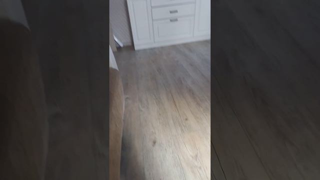 у нас появилась чихуа хуа смотреть онлайн