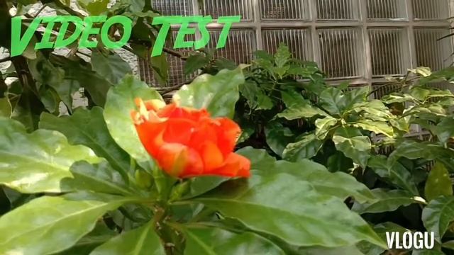 VIVO Y12 | Review | Test | Specification Allen Baguilat смотреть онлайн