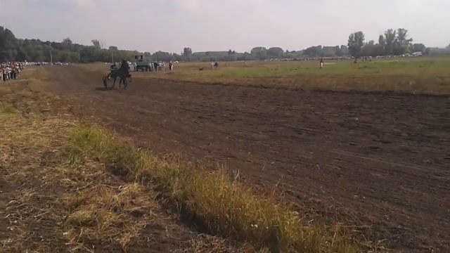 Скачки на лошадях смотреть онлайн