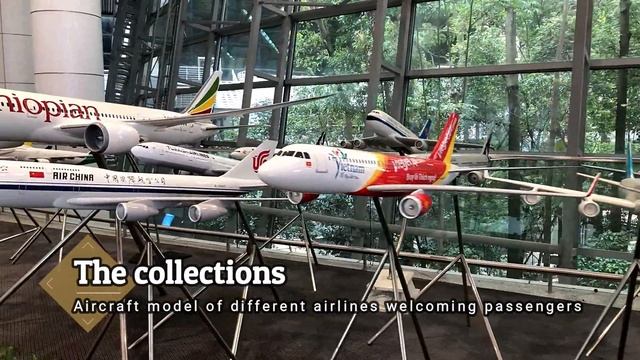 Kuala Lumpur International Airport (KLIA) | KLIA Jungle Boardwalk смотреть онлайн
