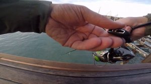 НЕ ЗРЯ ВЗЯЛ СПИННИНГ!!! Морская рыбалка в Турции!   Рокфишинг в Белеке!  Рыбалка на спиннинг Турция