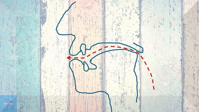 Phonetics | Consonants and Vowels: Classification | HSA English смотреть онлайн