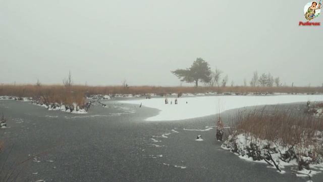 Ловля Судака Зимой. Как Где и на Что ловить Судака зимой по льду. смотреть онлайн