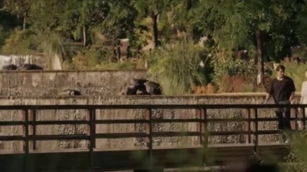 Сейран и Ферит-я тебя не люблю