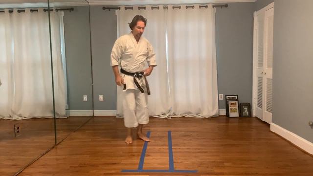 Karate Science: 15 Minutes Of Thought #47, Kanazawa Sensei Jiyu Ippon Jodan #1