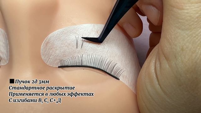 Геометрия пучка. Раскрытие пучка в наращивании ресниц смотреть онлайн