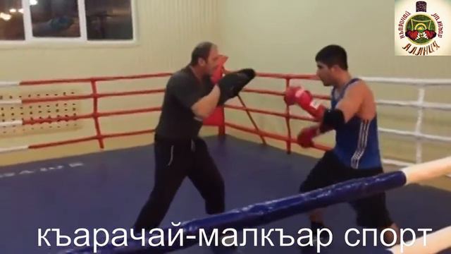 Зафир Чочаев работа по лапам часть 1 смотреть онлайн