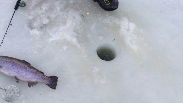 Подборка некоторых моментов сегодняшней рыбалки !!! смотреть онлайн