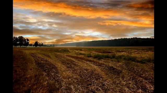Шуберт ВЕЧЕРНЯЯ СЕРЕНАДА исполняет автор переложений Влад. Семенов смотреть онлайн