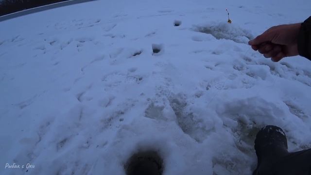 ИСКАЛ РЫБУ ВОЗЛЕ БЕРЕГА,а ОНА НА РУСЛЕ! Зимняя рыбалка на Оке 2022! смотреть онлайн