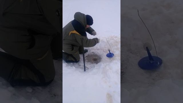 Щучка на жерлицу смотреть онлайн