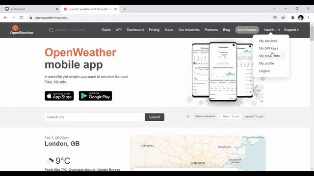 Using Open Weather Map data in Scratch Programming on CodeSkool смотреть онлайн