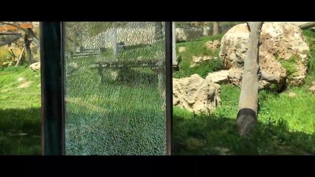 Библейский зоопарк Ерусалим 2019 смотреть онлайн