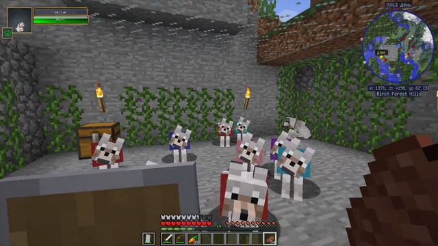 выжевание на моём сервере потомство очень большое потомство