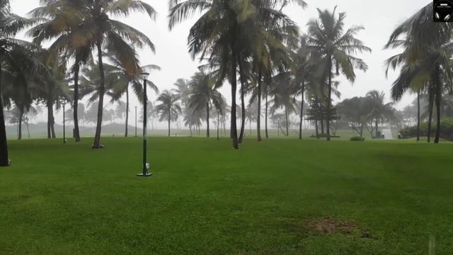 Raining Sound for Soothing, Relaxing, Sleeping, Studying & Stressbusting | 21 Mins. | Musical Showe смотреть онлайн