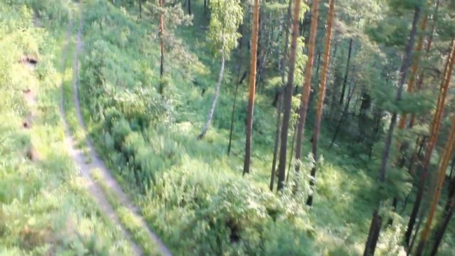 Канатка в фанпарке Бобровый лог (Красноярск) смотреть онлайн