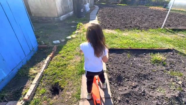 Новый деревенский влог/сажаем грядки/стрижка овец/ лето пришло смотреть онлайн